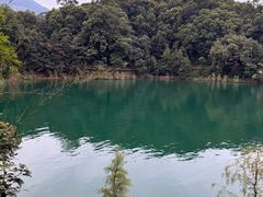 -广州市流溪河国家森林公园