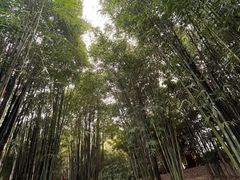 -金沙遗址博物馆