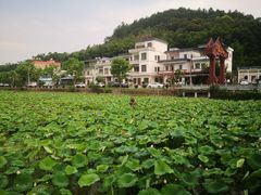 -红山村