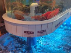 -金苑海鲜酒家(来魅力店)