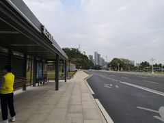 -野狸岛