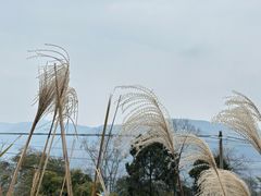 -金堂县云顶石城风景区