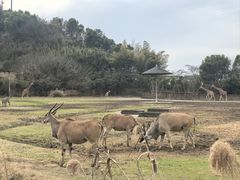 -宁波野生动物园