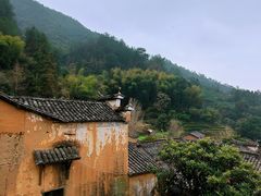 -杨家堂村