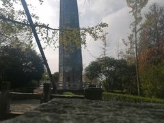 -上海佘山国家森林公园天马山园