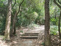 -黄埔油麻山森林公园