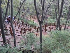 -大岭沟猕猴桃谷风景区