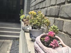 -庐灶江南·江南菜·四合院Bistro(东直门雍和宫·原华侨宾馆店)