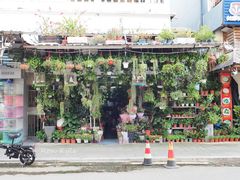 -溪岸路花鸟市场