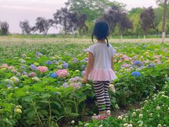 -汉长安城未央宫国家考古遗址公园