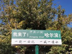 -哈尔滨道外清真寺