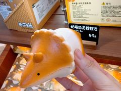 -上海世纪汇广场