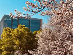 -同济大学图书馆(嘉定校区)