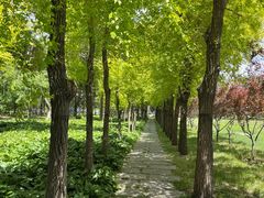 -长春市南湖公园