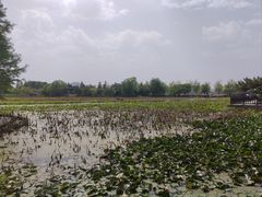 -云龙湖旅游景区