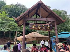 -野象谷景区