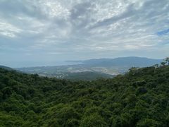-亚龙湾热带天堂森林公园