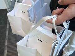 -BLACKSWAN黑天鹅(环球店)