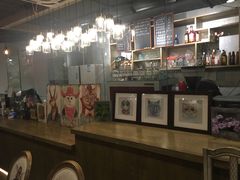 -共舞时光猫咖·狗咖(新街口店)