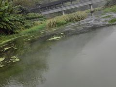 -兰亭风景区