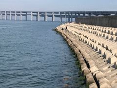 -星海湾跨海大桥