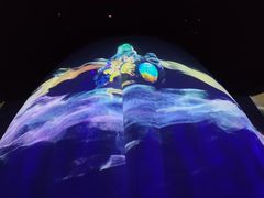 -水秀国际大剧院