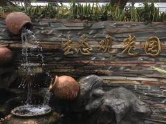 -万源龙顺度假庄园生态观光园