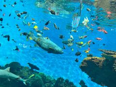 -鹿儿岛水族馆