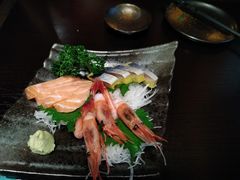 -春草居酒屋·晴子の店