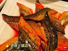 -红鼎坊·老成都火锅(新南门店)