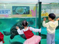 -海合安成都极地海洋公园