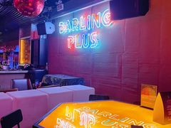 -Darling Queen·Mini·Live·House