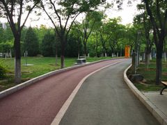 -滨河世纪广场公园