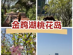 -金鸡湖桃花岛