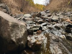 -苏木山森林公园