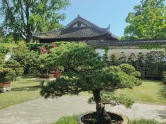 -水绘园