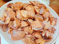 -滨海小渔村·海肠捞饭·鲅鱼水饺·特色老火鱼丸汤(华田店)