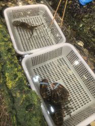 -钓虾工场·钓虾·赶海(回龙观店)