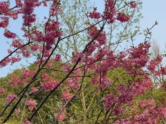 -梁鸿国家湿地公园