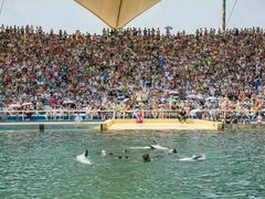 -秦皇岛乐岛海洋王国