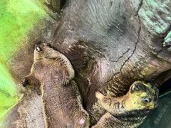-福州罗源湾海洋世界旅游区