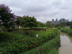 -广西壮族自治区药用植物园