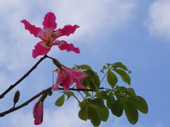 -风云岭森林公园