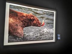 -罗红摄影艺术馆