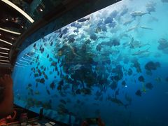 -瑞德姆美人鱼海底演艺主题餐厅(亚龙湾店)