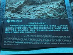 -中国西峡恐龙遗迹园