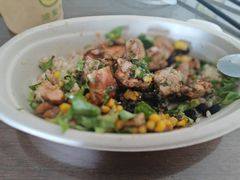 -油梨树 AVOCADO TREE(亮马桥店)