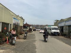 -龙大花卉苗木市场