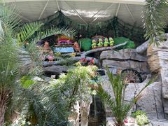 -南宫五洲植物乐园