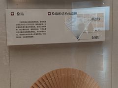 -中国扇博物馆